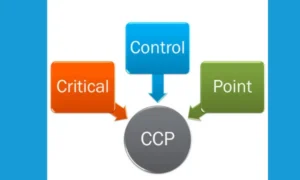 What Are Critical Control Points