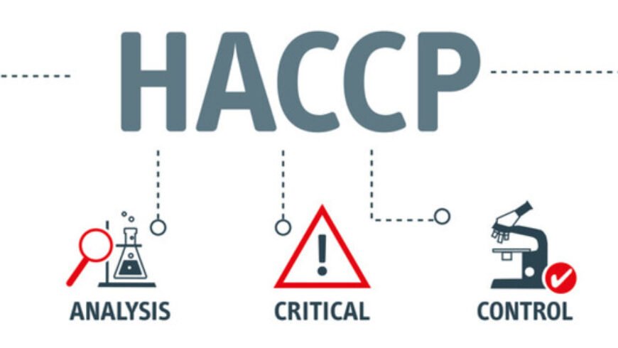 What are the principles of HACCP?