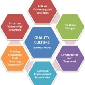 What are the core values and beliefs of a quality culture?