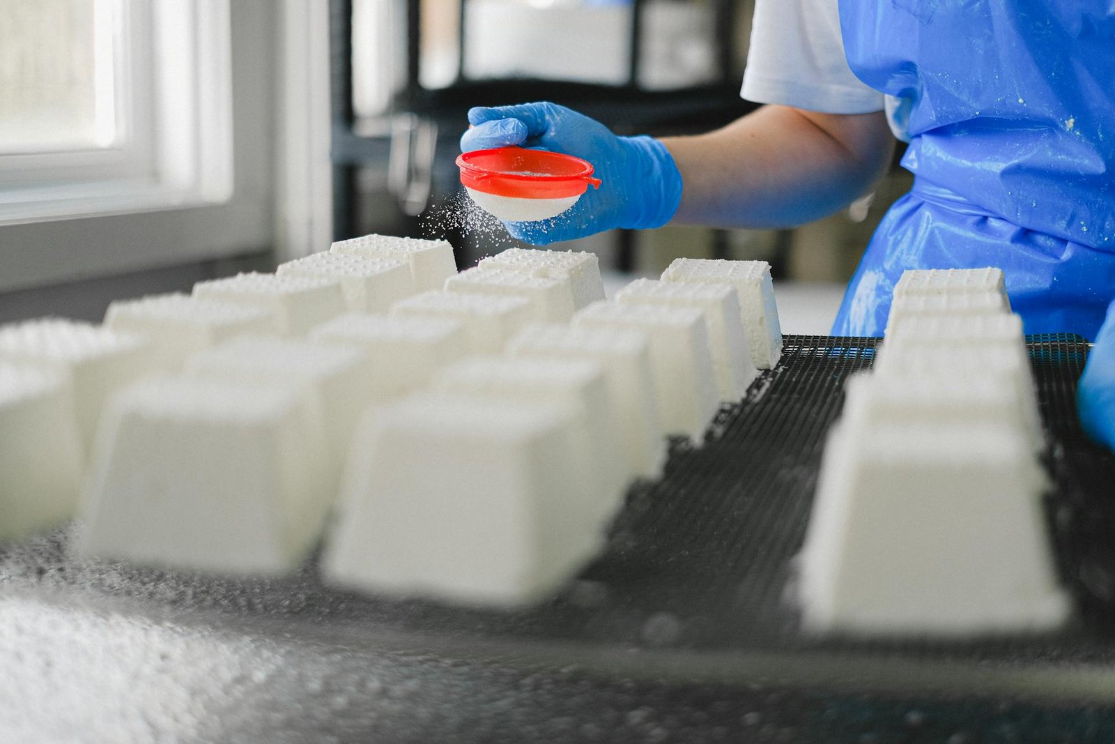 ISO 22000 Certification