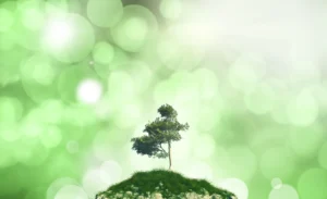 14001-scaled