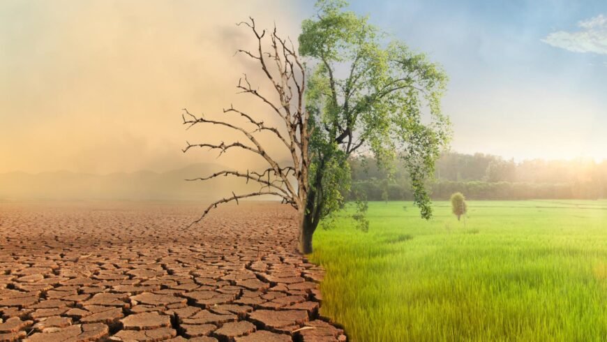 Driving Corporate Resilience via ISO 14001