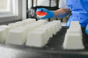 ISO 22000