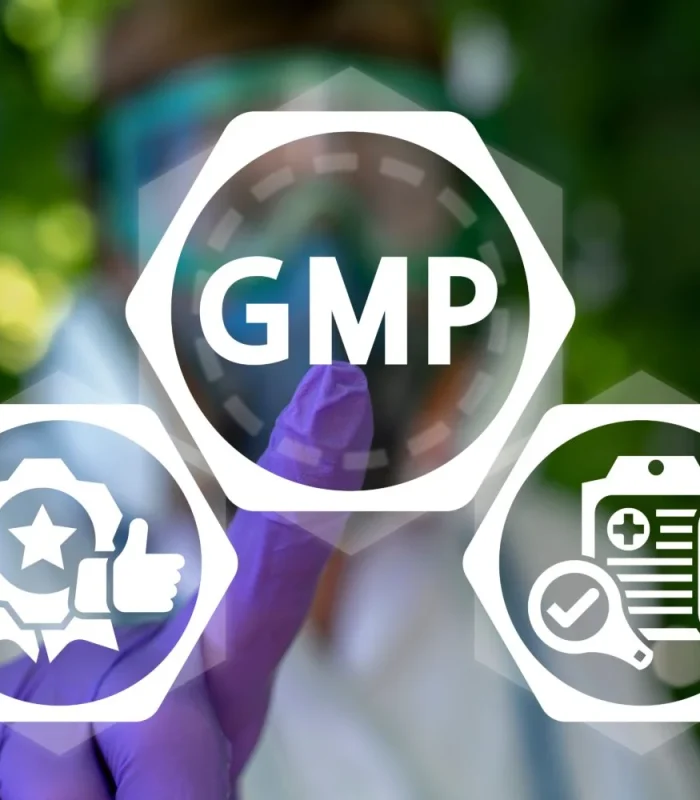GMP-Qaulifications-scaled-1